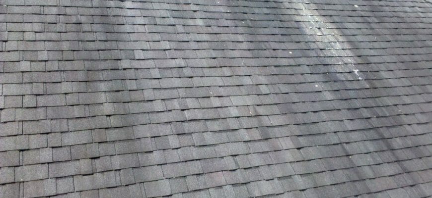 Roof Cleaning service seattle | All Clean